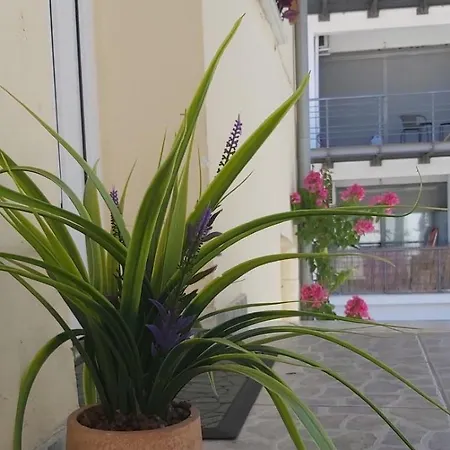 Comfy Near The Port And The Center Of Apartment Volos